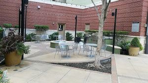 Great place at Juice Junkies in Keller