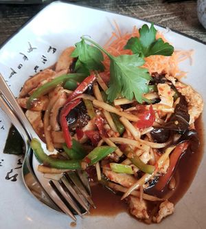 fried xiaolongbao 炸小笼包 #Veganuary at Tianfuzius in Berlin