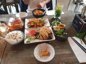 Dan dan noodles, spring rolls, baked chicken, rice, roasted duck and guo tie (dumplings) at Tianfuzius in Berlin