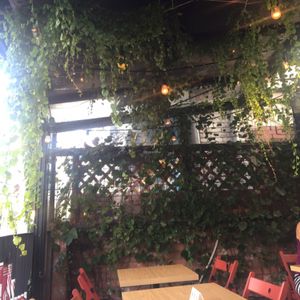 gusto taco at Gusto Taco 구스토 타코 in Seoul