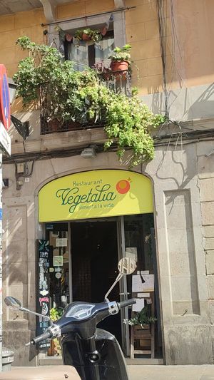  at Vegetalia - Gotico in Barcelona