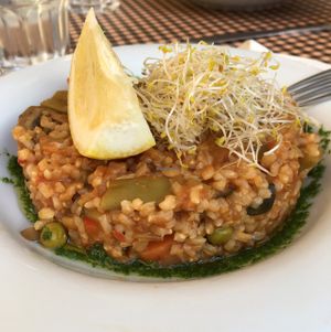 vegan paella at Vegetalia - Gotico in Barcelona