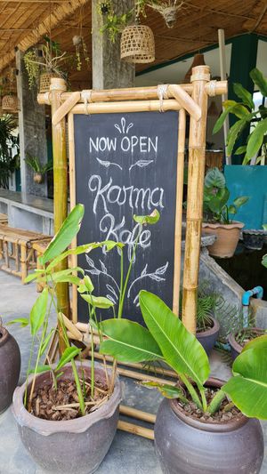 Karma Kafe #Veganuary at Karma Kafe in Koh Phangan