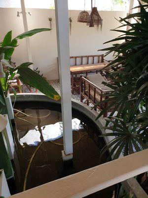  at Karma Kafe in Koh Phangan