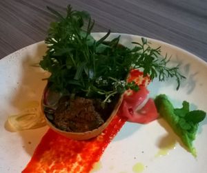 Mousse de boletos e salada de ervas frescas  at Lupin Restaurante Vegetariano in Porto