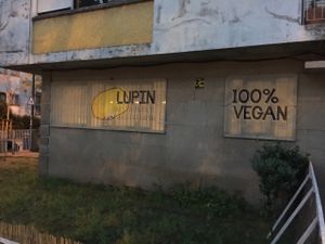 outside  at Lupin Restaurante Vegetariano in Porto