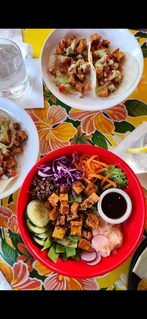Vegan Poke Salad with Tofu and Vegan Tacos with fried tofu at Cafe Verde in New Smyrna Beach