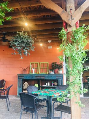 Cute Atmosphere, Plants everywhere!  at Cafe Verde in New Smyrna Beach