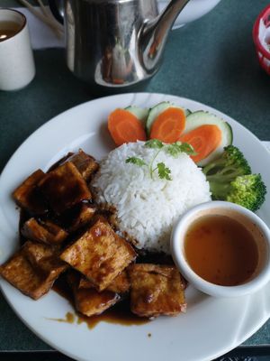 Ginger tofu rice dish at All Chay in Salt Lake City