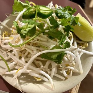 Bean sprouts   at All Chay in Salt Lake City