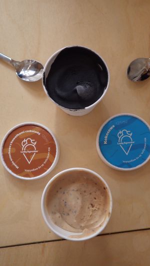 Black coconut and chocolate peanut butter ice cream at Vegan Ramen Shop - Finlandzka in Warsaw