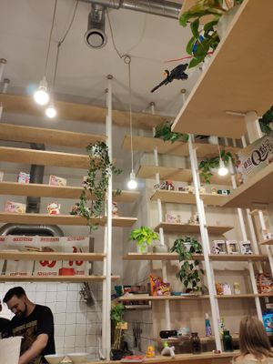 Place at Vegan Ramen Shop - Finlandzka in Warsaw
