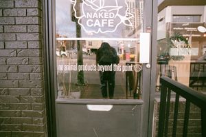 no animal products behind this point :) at Naked Cafe in Kelowna