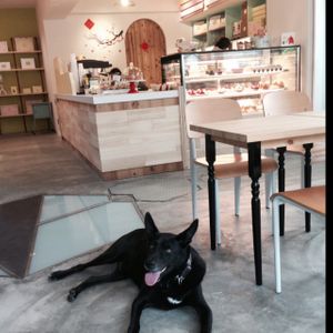 Animal friendly! at Vegan Heaven in Jiaosi