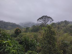 Amazing views! at Utopia Eco Hotel in Semuc Champey
