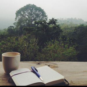 get some morning inspiration with this view and a cup of coffee at Utopia Eco Hotel in Semuc Champey