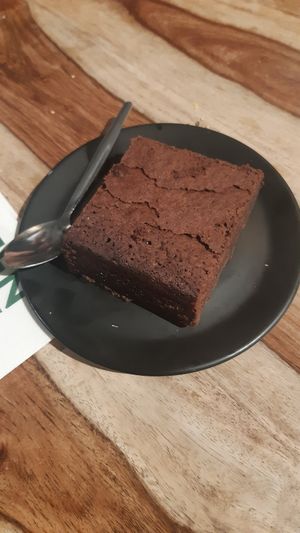 Brownie at Greenway in Antwerpen
