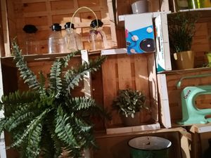 Interior at Greenway in Antwerpen