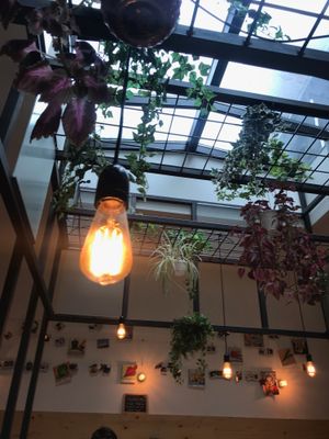 Vintage led bulbs and plastic plants, it gives a good impression nevertheless at Greenway in Antwerpen