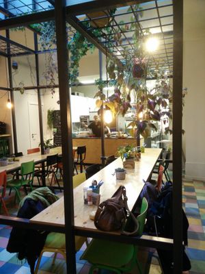 cozy back room full with plants 👌 at Greenway in Antwerpen