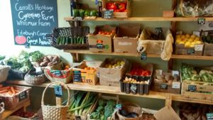 Food at Dig-in-Bruntsfield in Edinburgh