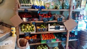 Fresh at Dig-in-Bruntsfield in Edinburgh