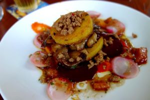 Hortus at Hortus in The Hague