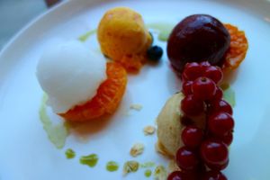 Hortus at Hortus in The Hague