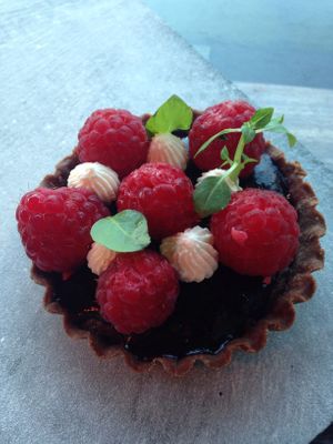 Vegan raspberry chocolate tart at Hortus in The Hague