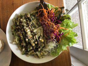 Walnut and basil pesto pasta with salad at Food Forest Organics in Greytown