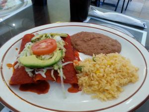vegan red chile enchiladas at Empanadas Mexican Grill in Albuquerque
