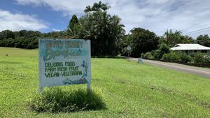   at What's Shakin in Pepeekeo