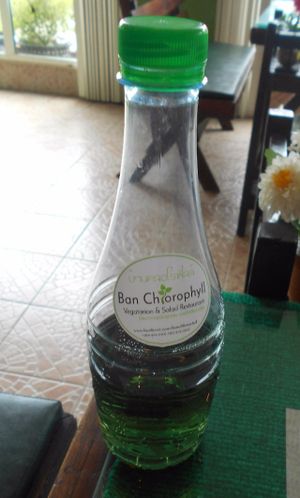 Ban Chlorophyll Salad and Vegetarian  at Ban Chlorophyll in Pattaya