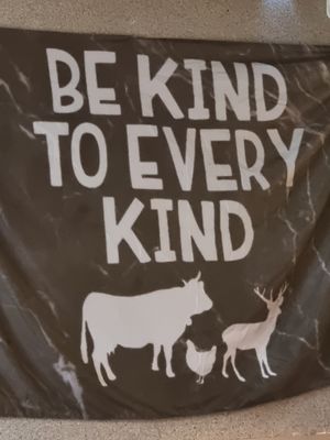  at The Vegan Bar in Malmo