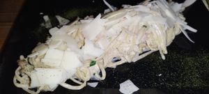  at roots in Thessaloniki