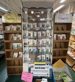 herbs, seeds + flowers!  at Peace Nook in Columbia