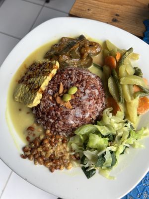 curry dish  at Wulan Vegetarian Warung in Ubud