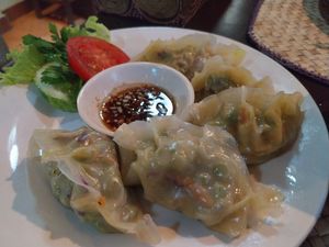 Dumplings at Wulan Vegetarian Warung in Ubud