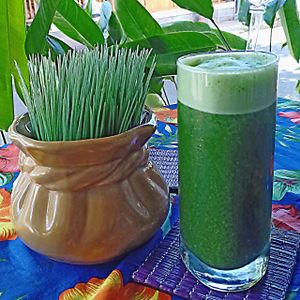 Wulan Green Detox Smoothie is thick like a guiness beer and probably as delicious. Give it a try if you want to make your meal a little more green.  at Wulan Vegetarian Warung in Ubud
