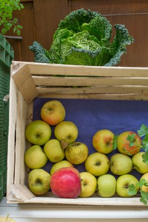 Auf biologische und weitestgehend regionale & saisonale Ware wird hier großen Wert gelegt! at Kleeblatt Bar in Landsberg Am Lech