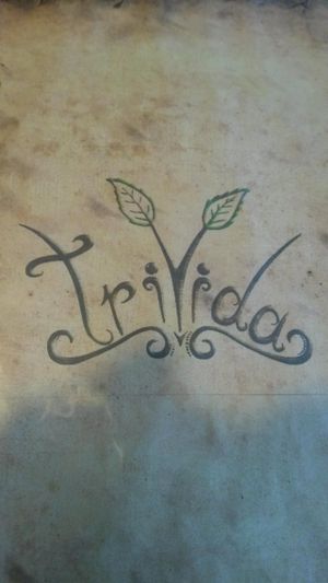 Trivida at triVida in Klagenfurt