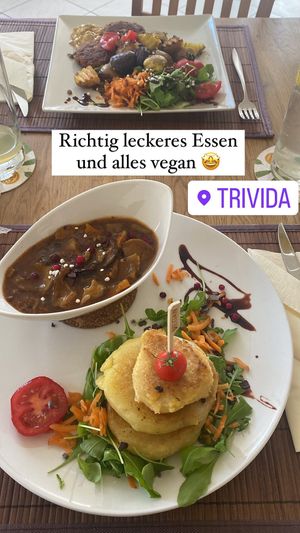   at triVida in Klagenfurt