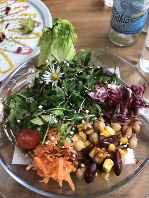 Small Salad at triVida in Klagenfurt