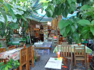 It's like dining in a garden :) at Mild cafe in Chiang Mai