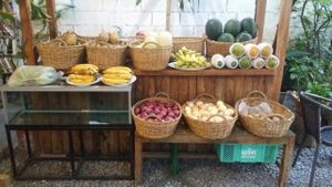 fruit display at Mild cafe in Chiang Mai