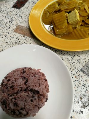 brown rice & fried pumpkin tofu curry  at Mild cafe in Chiang Mai