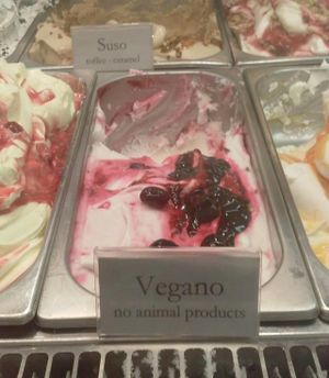 vegano at Gelatoteca SuSo in Venice