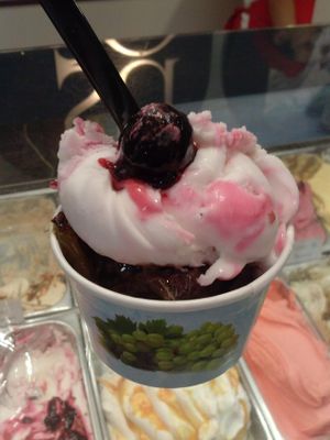 vegano and chocolate orange at Gelatoteca SuSo in Venice