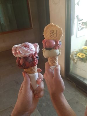 Left one is completely vegan at Gelatoteca SuSo in Venice