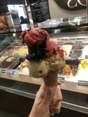   at Gelatoteca SuSo in Venice